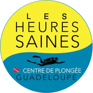 Les Heures Saines, club de plongée